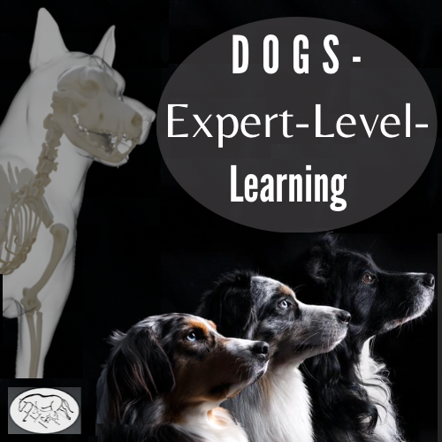 dogs-expert-level-learning