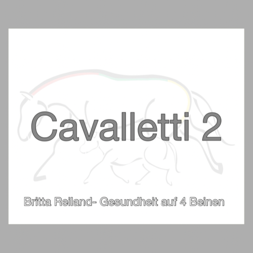 Kurs - Cavalletti 2 - Selbstlernvariante
