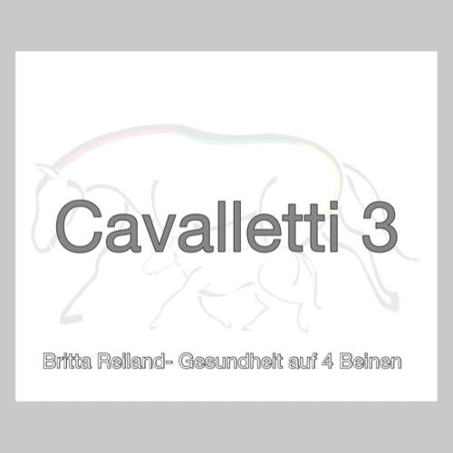Kurs - Cavalletti 3 - Selbstlernvariante