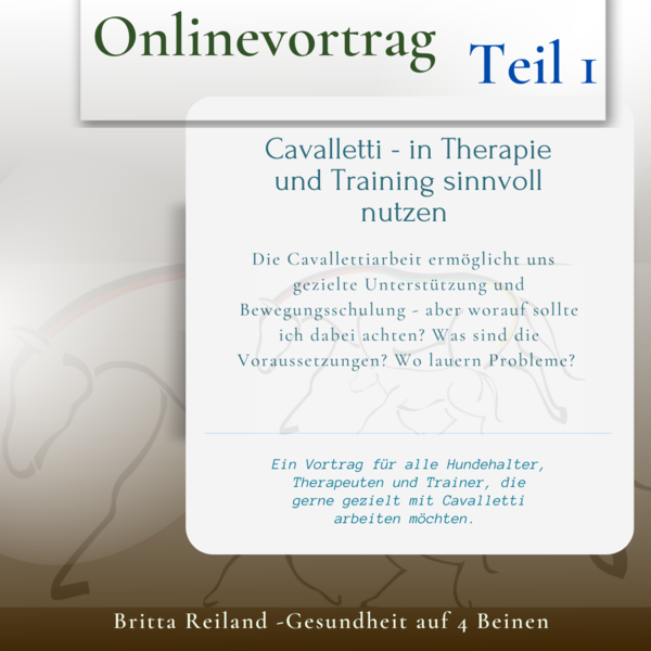 Cavalletti in Therapie und Training Teil 1