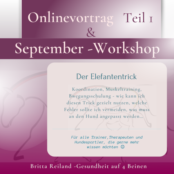 September - Workshop inklusive Vortrag - Elefantentrick Teil 1