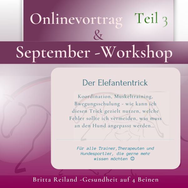September - Workshop inklusive Vortrag - Elefantentrick Teil 3