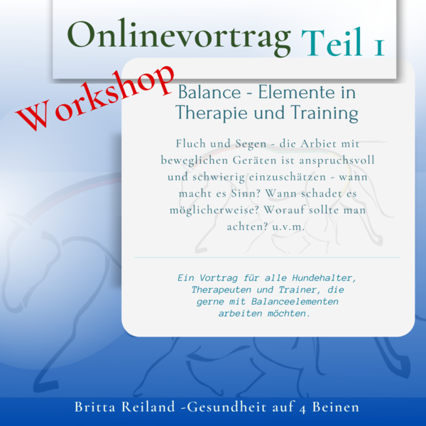 Oktober -  Workshop - inklusive Vortrag - Balanceelemente in Therapie und Training - Teil 1