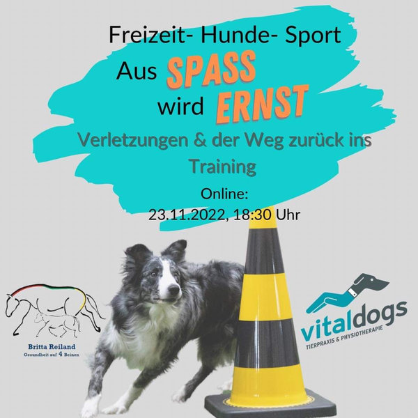 Onlinevortrag - 23.11.2022 - Freizeit- Hunde-Sport - Verletzungen und der Weg zurück ins Training
