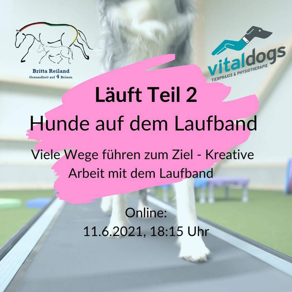 Onlinevortrag - AUFZEICHNUNG -  Läuft - Hunde auf dem Laufband - Teil 2