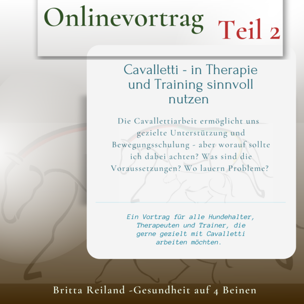Cavalletti in Therapie und Training Teil 2
